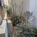 (주)수목조경 이미지