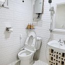 봄날의 댕댕이 | 여기, 우리 댕댕이와 함께라면 전주 여행이 두 배로 즐거워져요