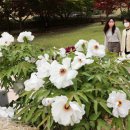 영랑생가 이미지