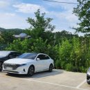 네코스테이 고양이마을 이미지