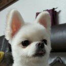 (주)아름다은 이미지