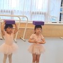 유아성장발레 | 쾌적한 엔케이무용학원 유아발레 수업후기!