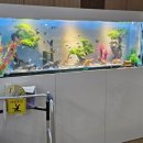 울산광역시립노인병원 | 울산광역시립노인병원, 더블테마형 자동청소수족관 추가 설치 완료!