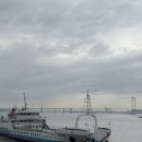 월미도 선착장 | [인천] 인천 영종도 구읍뱃터 선착상↔️ 월미도 선착장 배 시간/배 탑승 후기