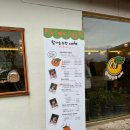 제주도 탐나는 농장 감귤체험카페에서 감귤따기 체험해본 후기