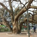 서울엔비뇨기과의원 이미지