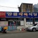 양월식육식당