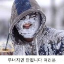 인생전집 이미지