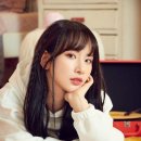 샤키 이미지