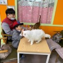 요술곰 동물원 이미지