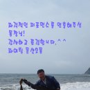 백선권 Daum카페