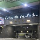 마이독스 | 부산 24시 애견용품 저렴한 유, 무인용품점 대연동 마이독스 솔직 후기