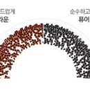 으뜸50안경 역곡점 이미지