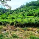 용성면행정복지센터 이미지