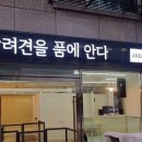 안다켄넬반려견을품에안다