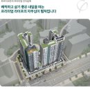 피스피스 이미지