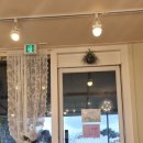 교감 | 제주 성산 아일랜드플라워, 하얀 사슴 백록과 귀여운 아기 동물들 교감 체험 후기