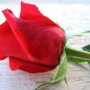 청곡사료 이미지