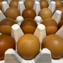 행운유정란 | [상품/유정란/난각1번] 양계장 청년 유정란 자연방사 HACCP 20구