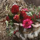 컨포지움 이미지