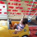 붕붕카마스타 이미지