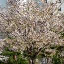 죽백근린공원1 이미지