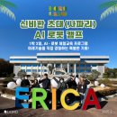 겨울방학과학캠프 도로의 신비한 초대캠프 초등학생 아들 둘 신청