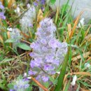 해오름길 이미지