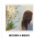 기아클리닉 | 쌍촌동미용실 베이코헤어 클리닉 받고 머릿결 살아났어요