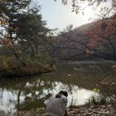 김포 장릉 | 서울 근교 가을 단풍 명소 추천 유네스코 세계유산 김포 장릉