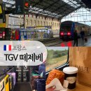 마르세유 생샤를역에서 TGV 떼제베 기차타고 파리 리옹역까지 (TGV예약, inoui 이누이와 ouigo 위고)