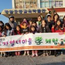 영월초등교육박물관 이미지