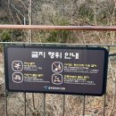 남산길 | 애견동반 남산 N타워 "하늘숲길" 후기 한국인이라면 반드시 가봐야 할 곳!!