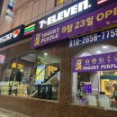 요거트퍼플목포 이미지