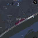 한국과학기술원 버스정류장 | 대전 카이스트 벚꽃 명소 실시간 만개 현황 포토스팟 꿀팁