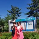 옥천고등학교 이미지