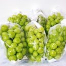 부농농장 이미지