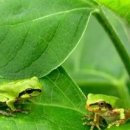 아침향기펜션 이미지