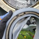 제주배또롱 이미지