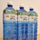 (50) 2024년 광양 고로쇠약수와 매화축제 홍보 이미지