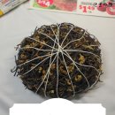 홀세일마트 이미지