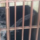 Radioactive. 이미지