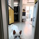 고득영동물병원 이미지