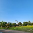 맑음터공원 캠핑장 이미지