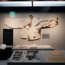 책과 함께 역사여행 이미지