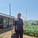 월야면사무소 이미지