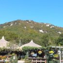 은사공인중개사사무소 이미지