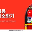 서면초등학교 이미지