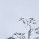 바랄 망 이미지