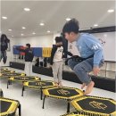 경희대 미래 태권도장 이미지